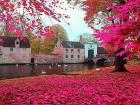 Brugge-Belçika