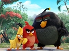 The Angry Birds Movie Yapbozu